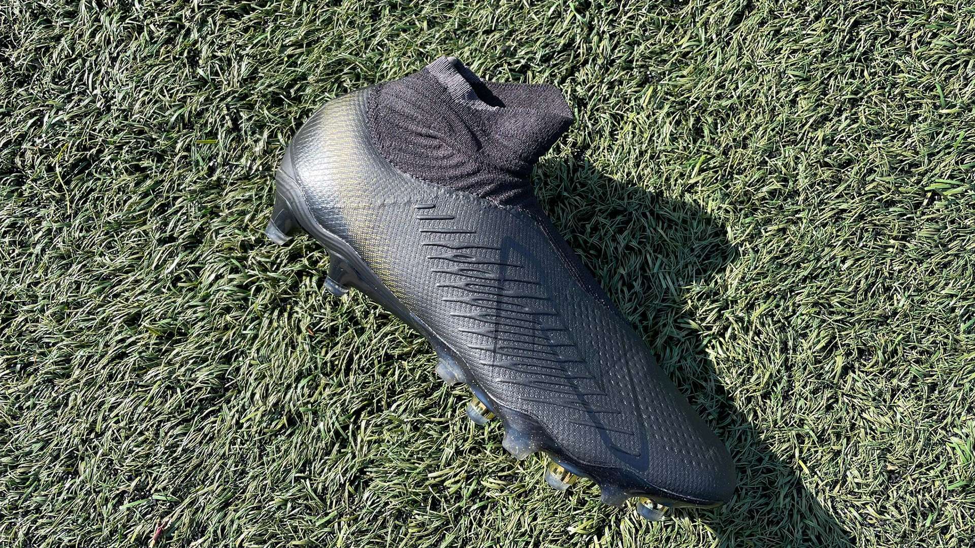 固性将得到 固性将得到