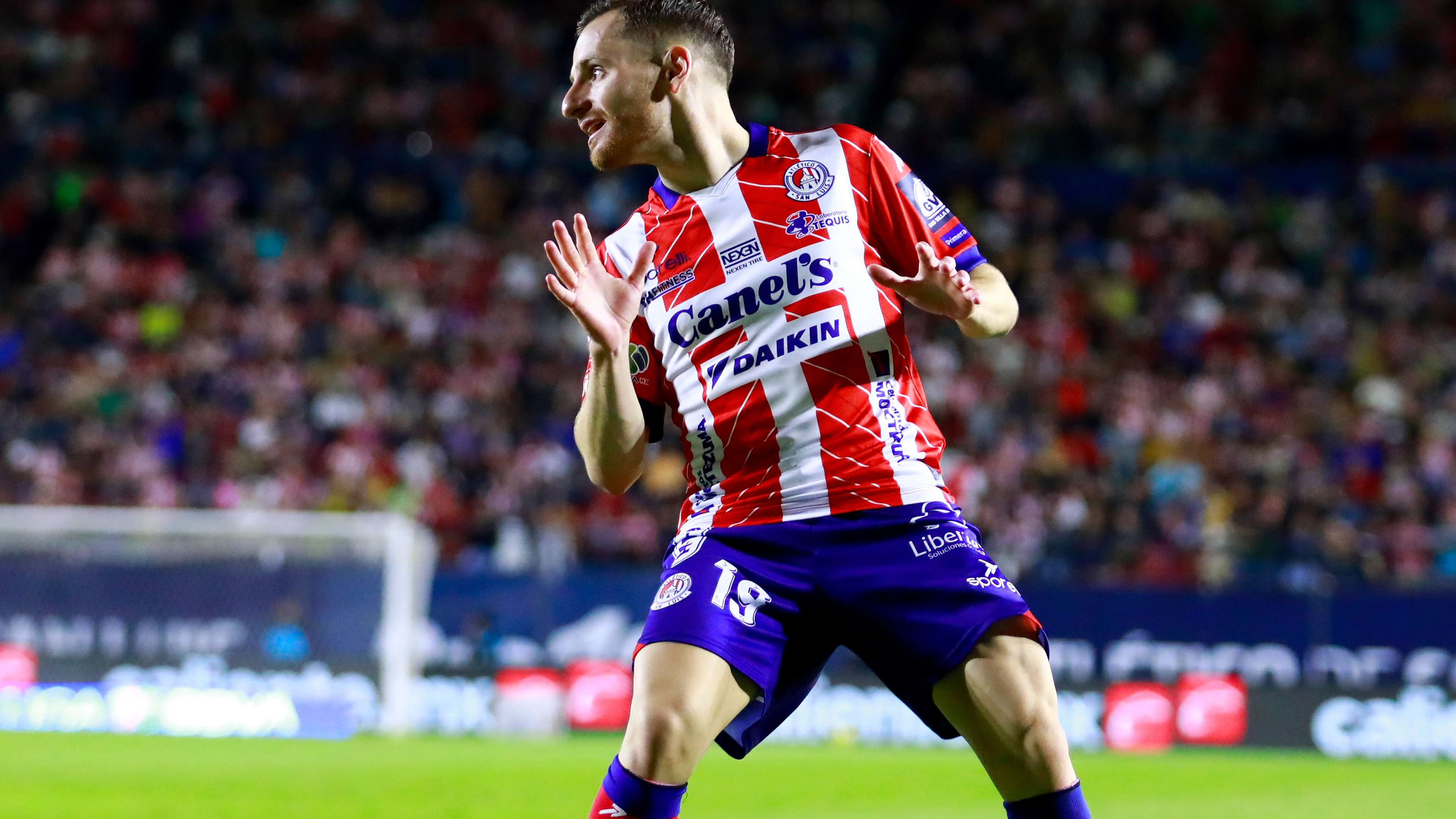 实时数据的 实时数据的