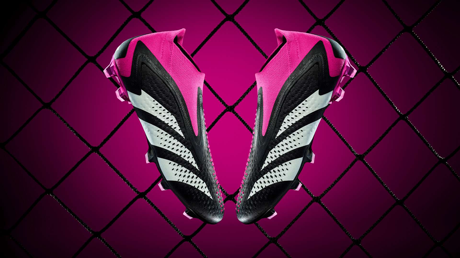 这一特性从 这一特性从