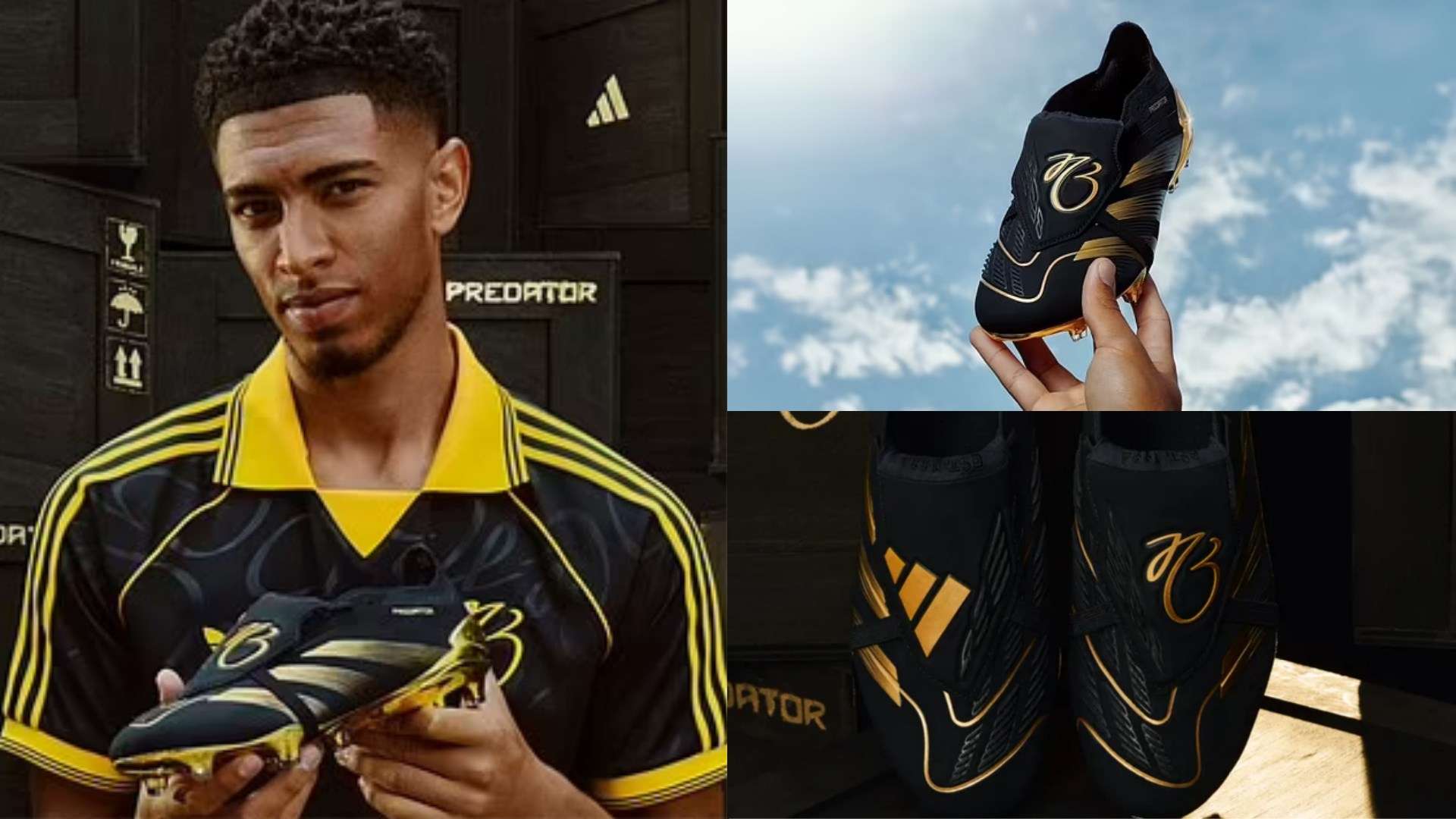 的竞争力 的竞争力